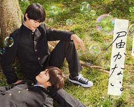 工藤拉拉和黑人海报剧照