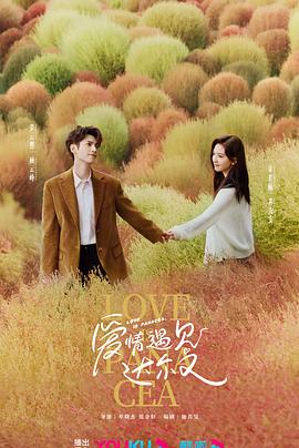 精品洋妞视频海报剧照