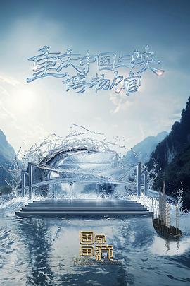 有关肖邦的海报剧照