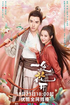 网红刘小姐视频海报剧照